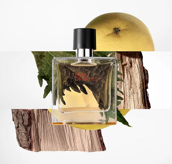 Hermes Terre de Hermes Eau de Toilette for Men 100ml