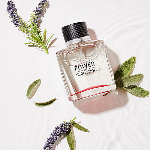 Antonio Banderas Power Of Seduction for Men EDT 100ml