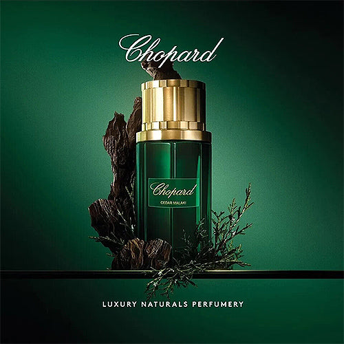 Chopard Cedar Malaki Eau de Parfum 80ml & Decants