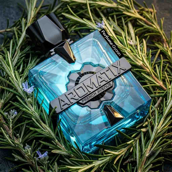 French Avenue Aromatix Magnetiq Eau de Parfum 100ml