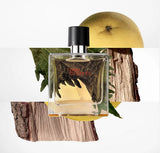 Hermes Terre de Hermes Eau de Toilette for Men 100ml