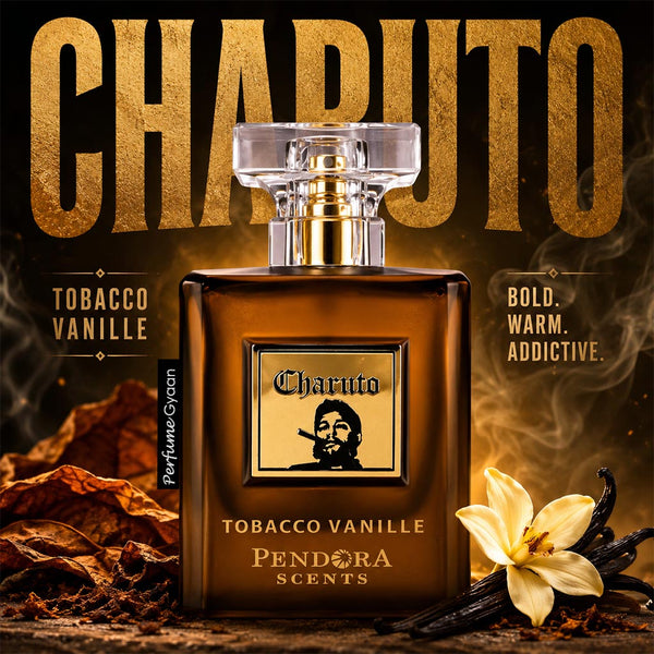 Paris Corner Pendora Scents Charuto Tobacco Vanille EDP For Him / Her 100mL