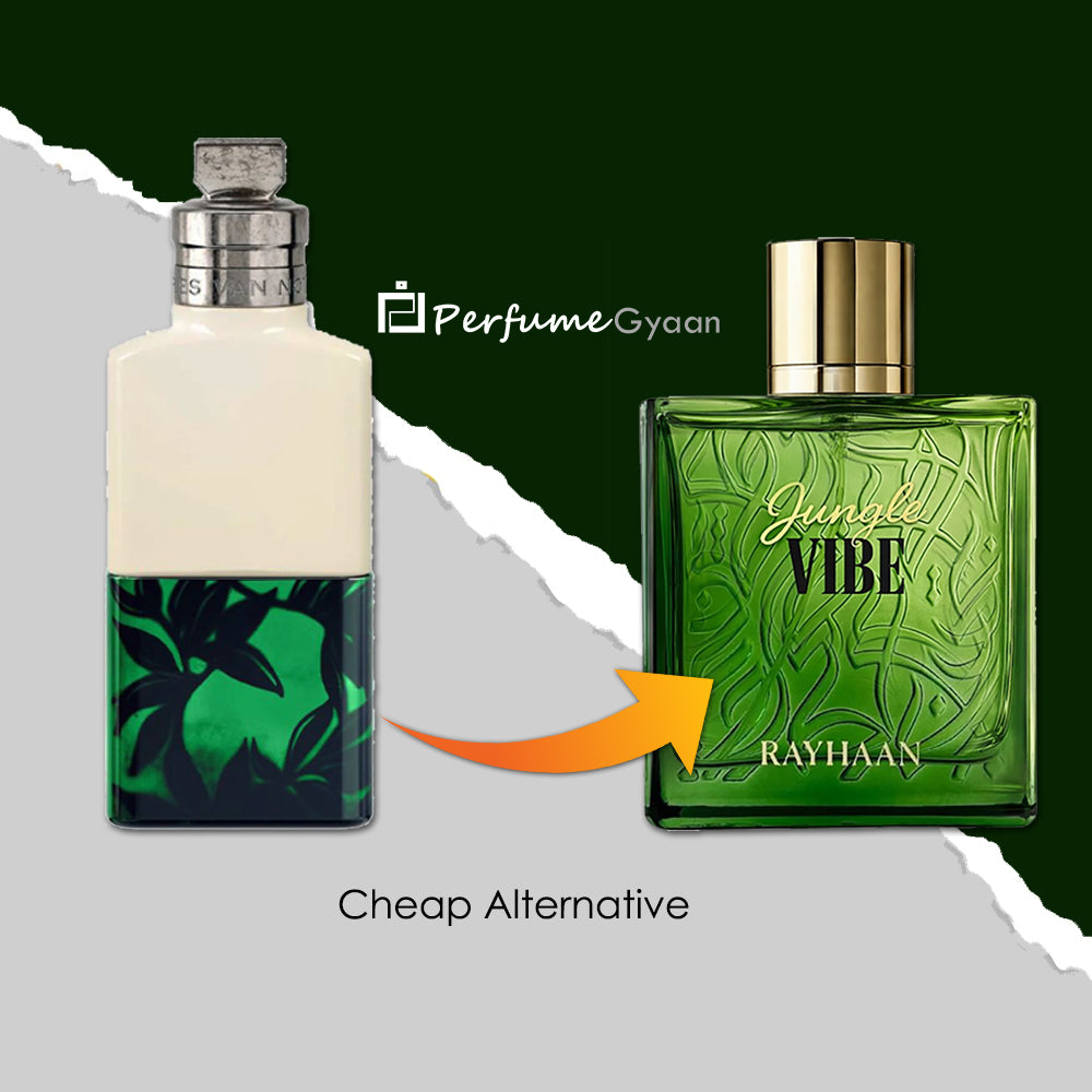 Rayhaan Jungle Vibe Eau de Parfum 100ml – Perfumegyaan
