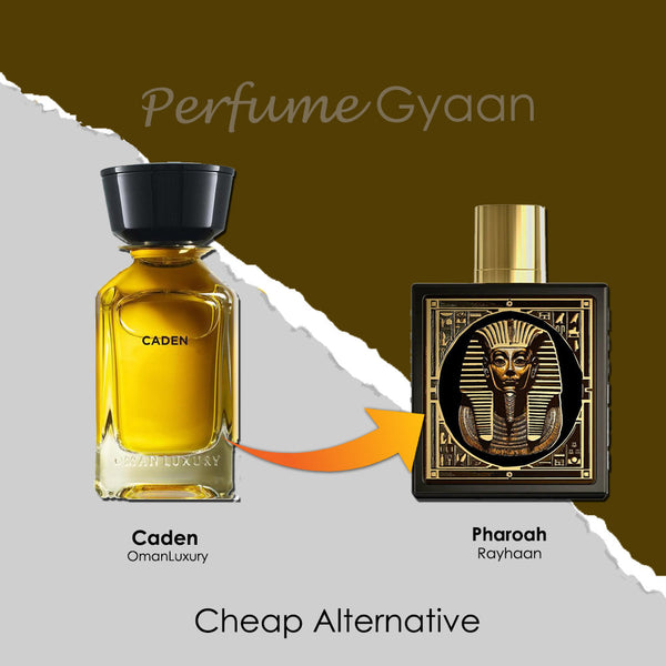 Rayhaan Pharoah Eau de Parfum 100ml