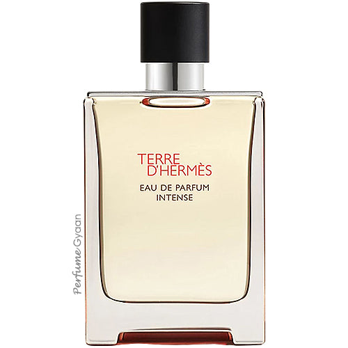 Hermes Terre D'Hermes Eau De Parfum Intense 100ml