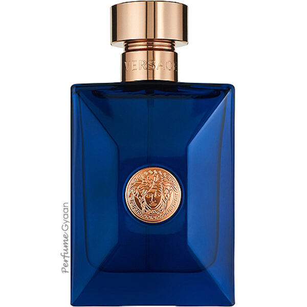 Versace Dylan Blue for Men Eau de Toilette 100ml