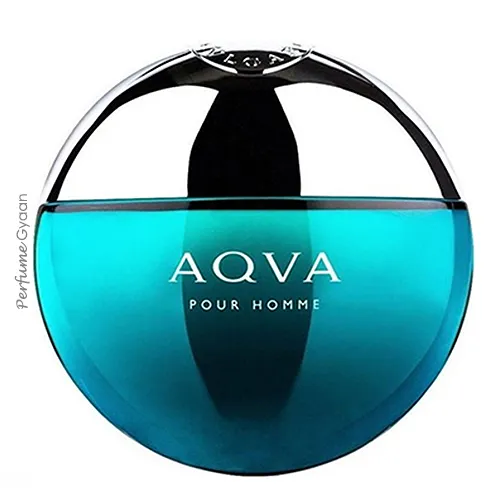 Bvlgari Aqva Pour Homme Eau De Toilette 100ml | Perfume Gyaan