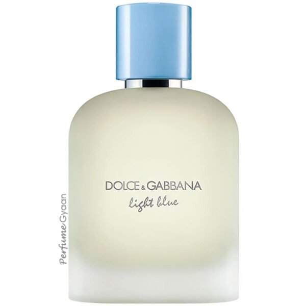 Dolce & Gabbana Light Blue Pour Homme Eau De Toilette 100ml (2025 Launch)