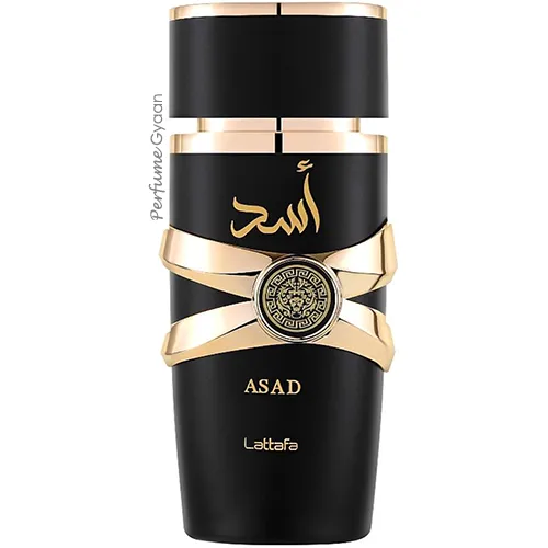 Lattafa Asad (Sauvage Elixir Twist) For Man 100ml | Perfume Gyaan