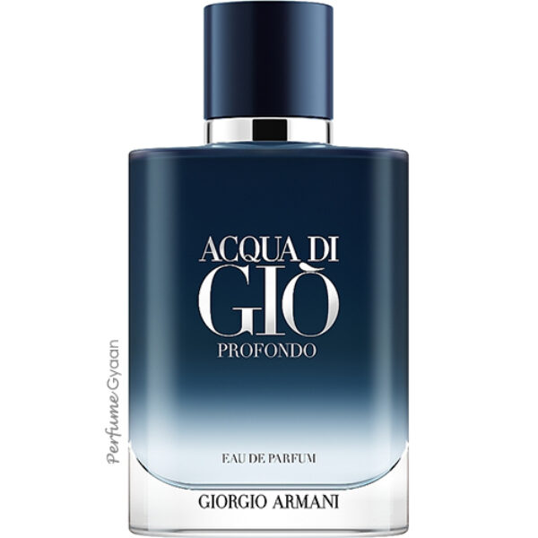 Gorgio Armani Acqua Di Gio Profondo for Men Eau de Parfum 100ml