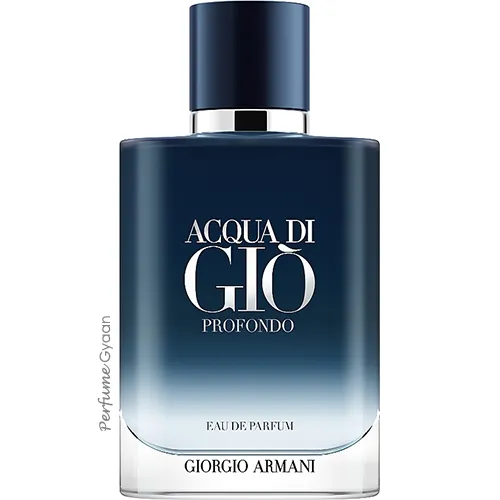 Gorgio Armani Acqua Di Gio Profondo For Men Eau De Parfum