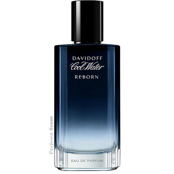 Davidoff Cool Water Reborn Eau de Parfum for Men 100ml & Decants