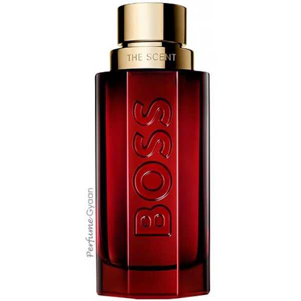 Hugo Boss The Scent Elixir Parfum Intense for Him 100ml