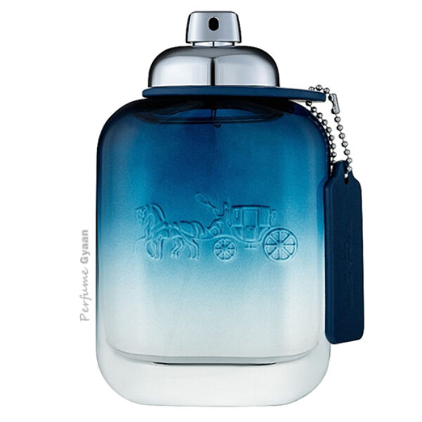 Coach Blue Eau De Toilette For Men 100ml