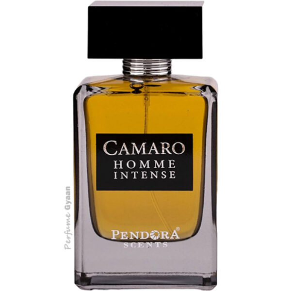 Paris Corner Pendora Scents Camaro Homme Intense 100ml