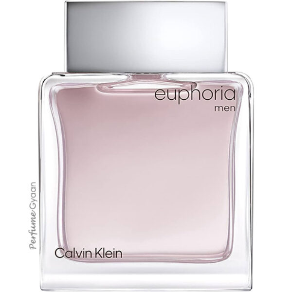 Calvin Klein Euphoria Eau De Toilette for Men 100ml