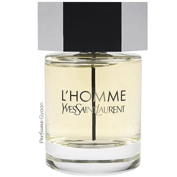 Yves Saint Laurent L'Homme Eau de Toilette 100ml