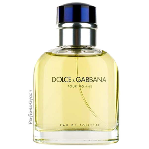 Dolce & Gabbana Pour Homme Eau de Toilette 125ml