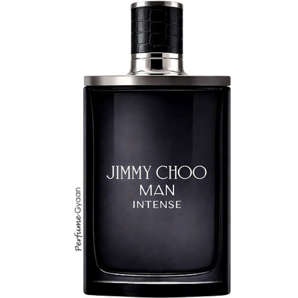 Jimmy Choo Man Intense Eau de Toilette 100ml