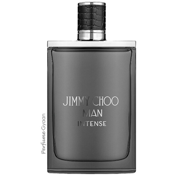 Jimmy Choo Man Intense Eau de Toilette 100ml