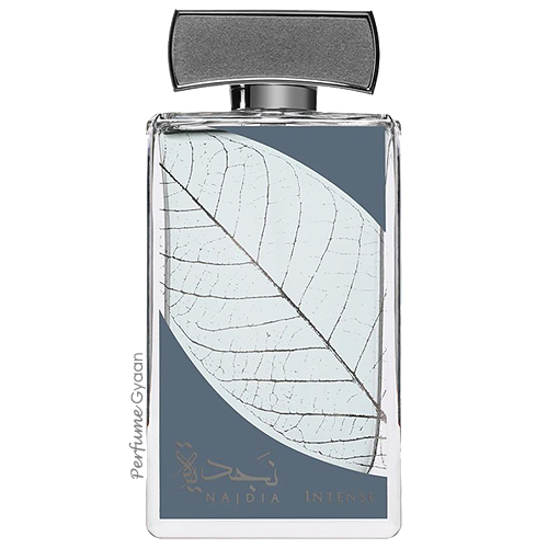 Lattafa Najdia Intense for Men Eau de Parfum 100ml