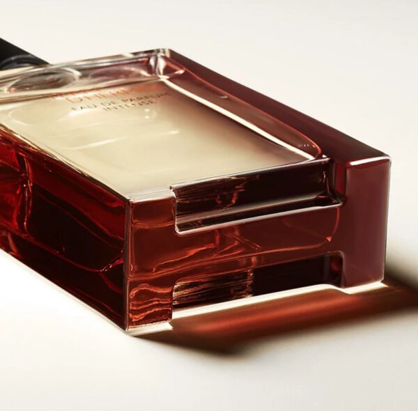 Hermes Terre D'Hermes Eau De Parfum Intense 100ml - Image 3