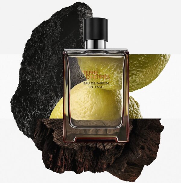 Hermes Terre D'Hermes Eau De Parfum Intense 100ml - Image 2
