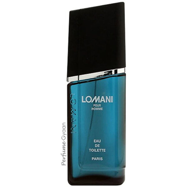 Lomani Pour Homme Eau de Toilette 100ml