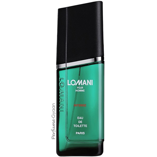 Lomani Pour Homme Intense Eau de Toilette 150ml