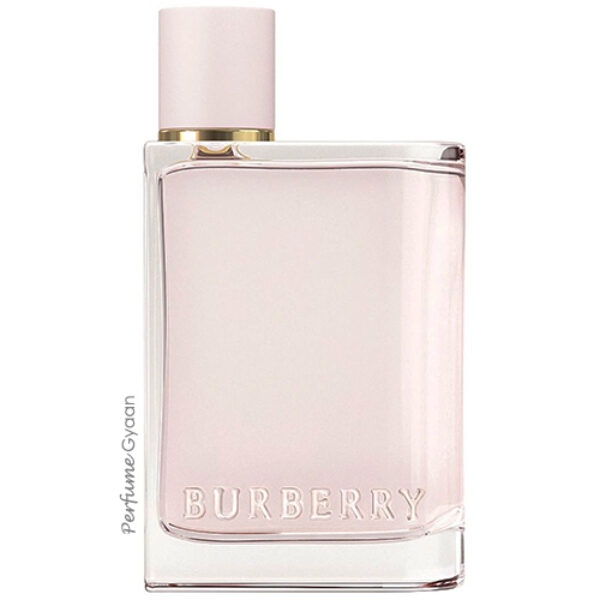 Burberry Her Eau de Parfum 100ml
