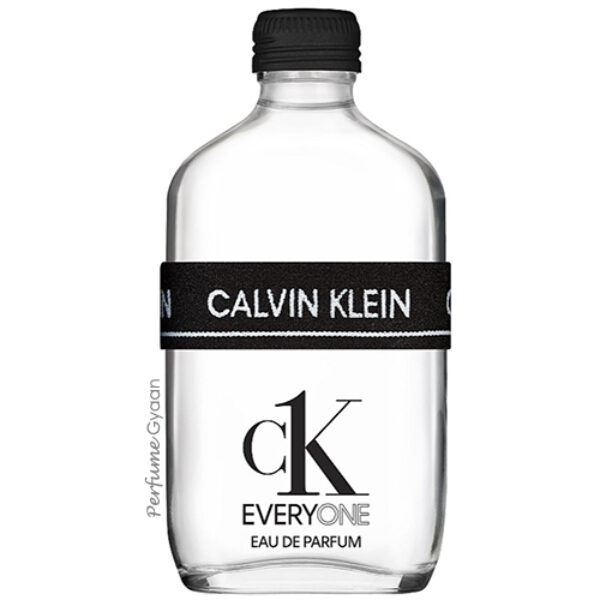 Calvin Klein CK Everyone Eau de Parfum 100ml