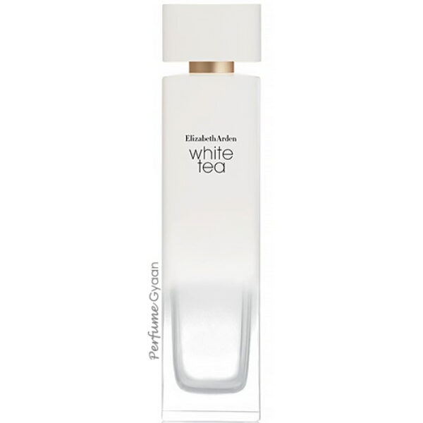 Elizabeth Arden White Tea Eau de Toilette for Women 100ml