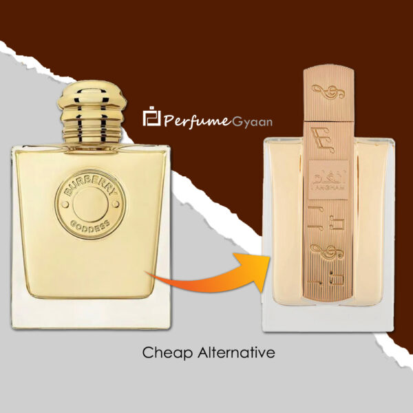 Lattafa Angham Eau de Parfum 100ml - Image 3