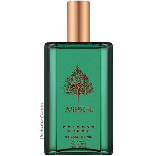 Aspen for Men by Coty – Eau de Cologne 118ml