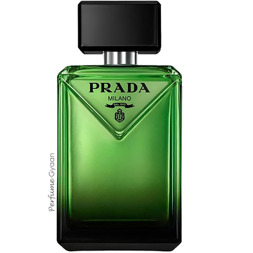Prada Paradigme Eau de Parfum for men 100ml