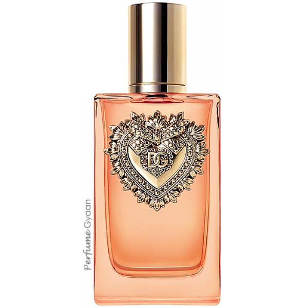 Dolce & Gabbana Devotion Eau de Parfum Intense 100ml
