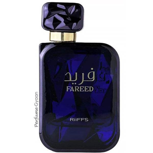 Riiffs Fareed Eau de Parfum 100ml (YSL La Nuit De L’Homme Twist)