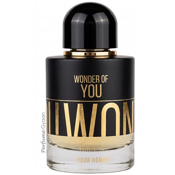 Riiffs Wonder Of You Pour Homme Eau de Parfum 100ml (Armani Stronger with you Twist)