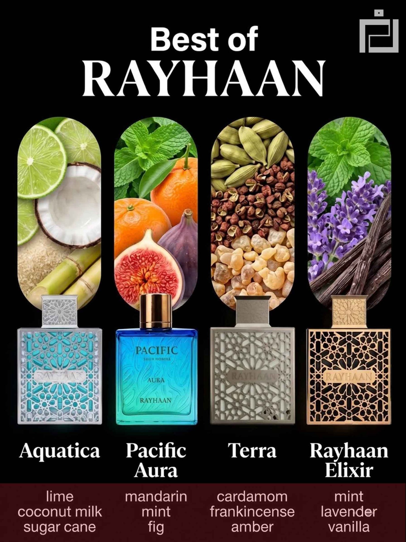 Best of Rayhaan Best of Rayhaan